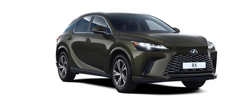 RX Comfort Zelená Khaki (6X4), frame 3