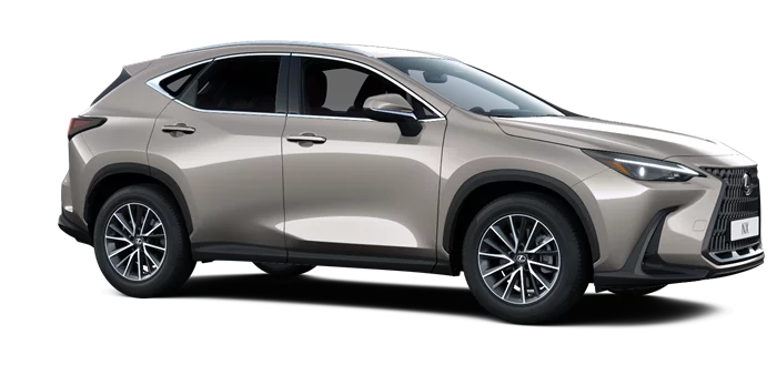 nx