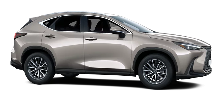 nx