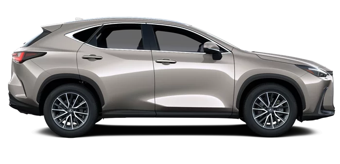 nx
