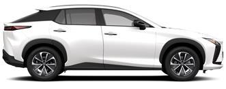 RZ Executive