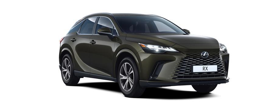 RX Comfort Zelená Khaki (6X4), frame 3