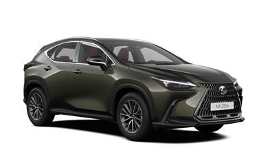 NX Basis 