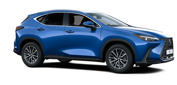 nx