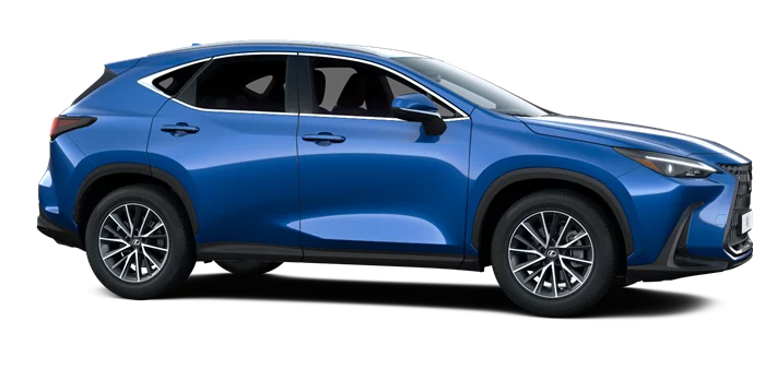nx