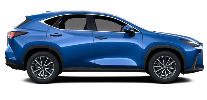 nx