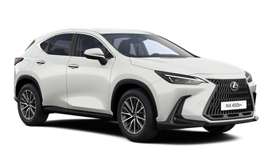 NX Business Plus 
