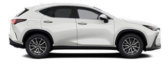 NX Executive