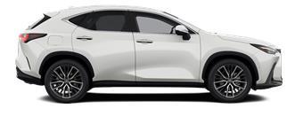 NX Luxury