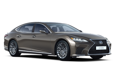 LS Comfort 