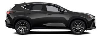 NX Luxury