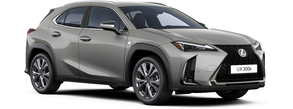 UX 300h (nelikveoline)