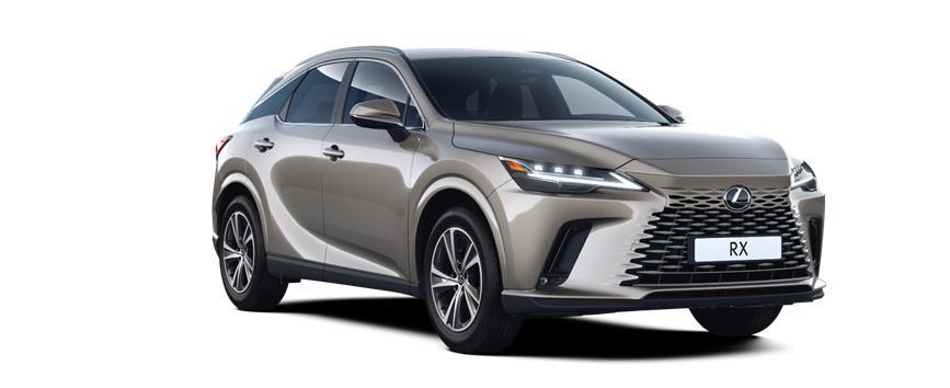 RX Comfort Sonic Titanium, frame 3