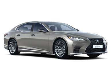 LS BUSINESS 