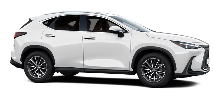 nx