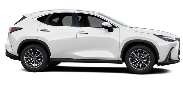 nx