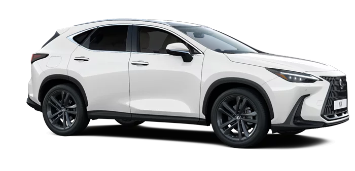 nx