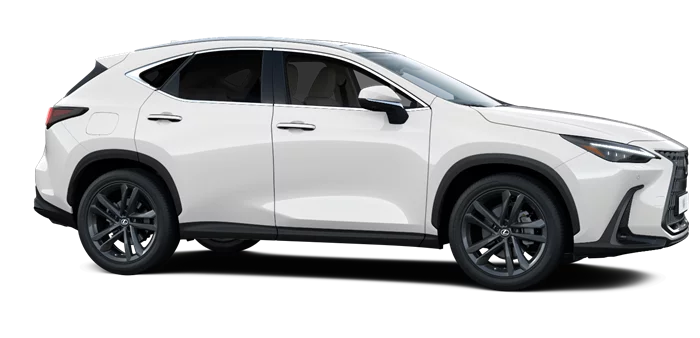 nx