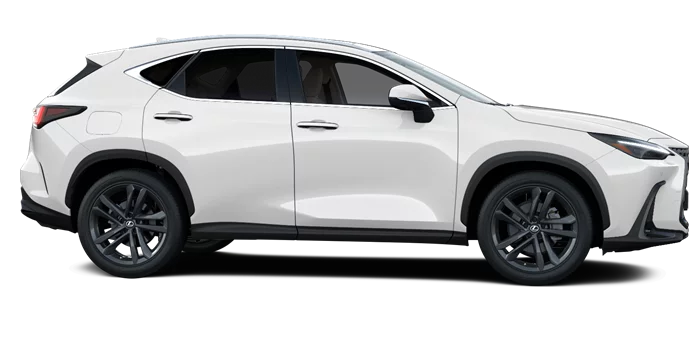 nx