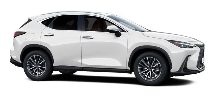 nx