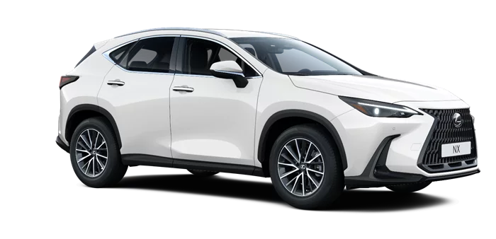 nx