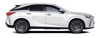 RX Executive