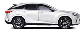RX Luxe