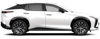 RZ Executive