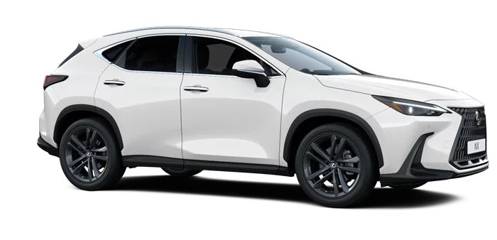 nx