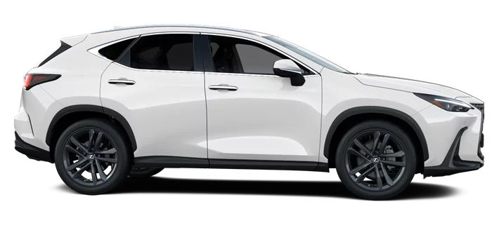 nx