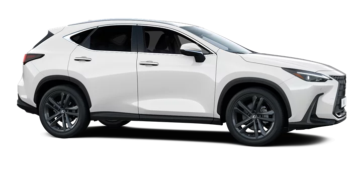 nx