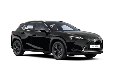 UX hybrid 2.0 Petrol Hybrid (199hp)