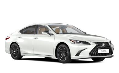 ES hybrid 2.5 Petrol Hybrid (245hp)