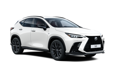 NX hybrid 2.5 Petrol Hybrid (197hp)