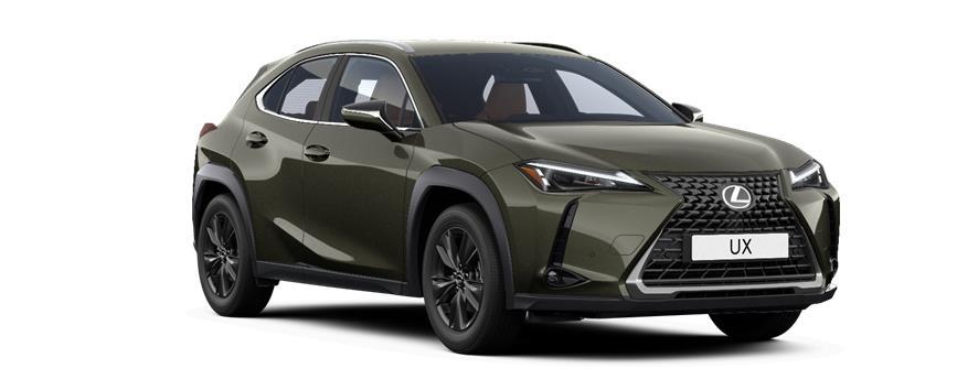 UX 300h Premium Terrane Khaki - (6X4) - Metallic, frame 3