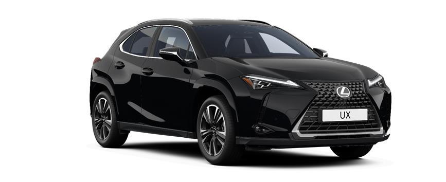 UX 300h Takumi Velvet Black (212)  - Solid, frame 3