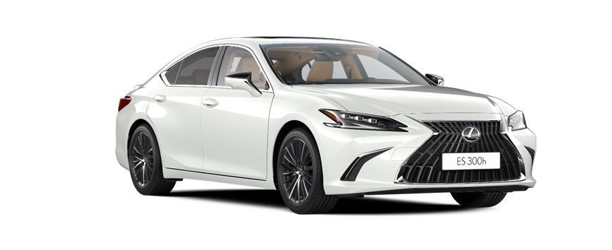 ES Premium Plus Sonic White- (085) - Special Metallic, frame 3