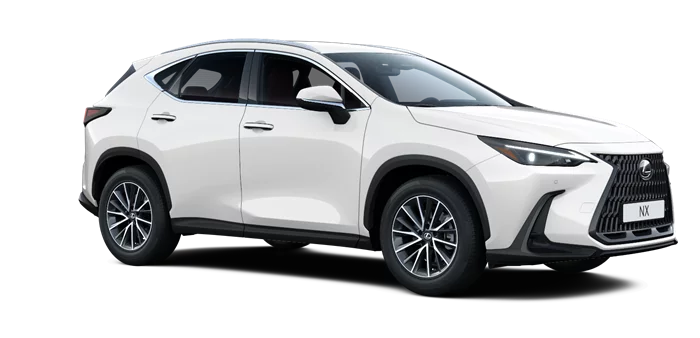 nx