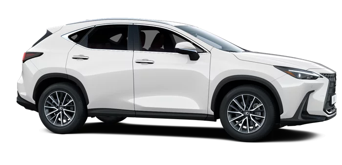 nx