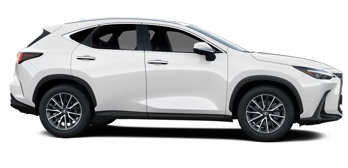 nx