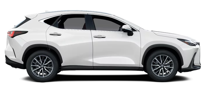 nx