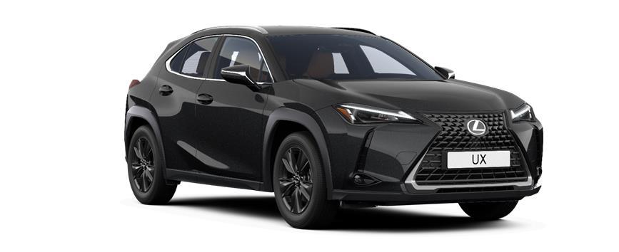 UX 300h Premium Graphite Black - (223) - Metallic, frame 3