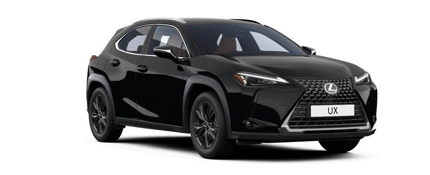 UX 300h Premium Velvet Black (212)  - Solid, frame 3