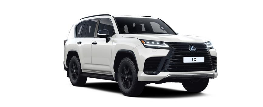 LX Overtrail DSL თეთრი (085), frame 3