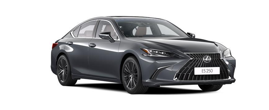 ES Executive 1 რუხი (1L1), frame 3