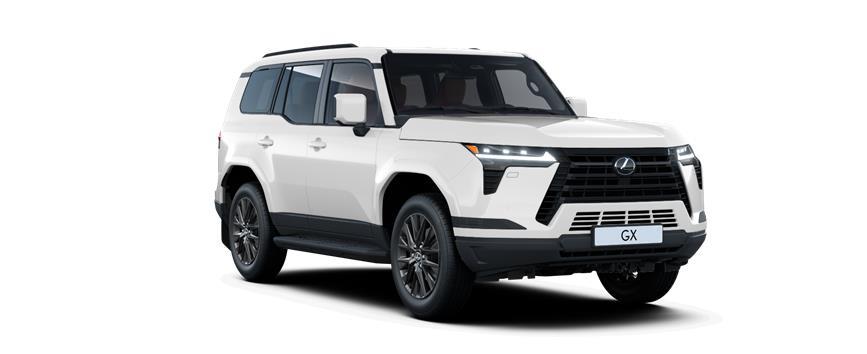 GX Comfort Sonic White (085), frame 3