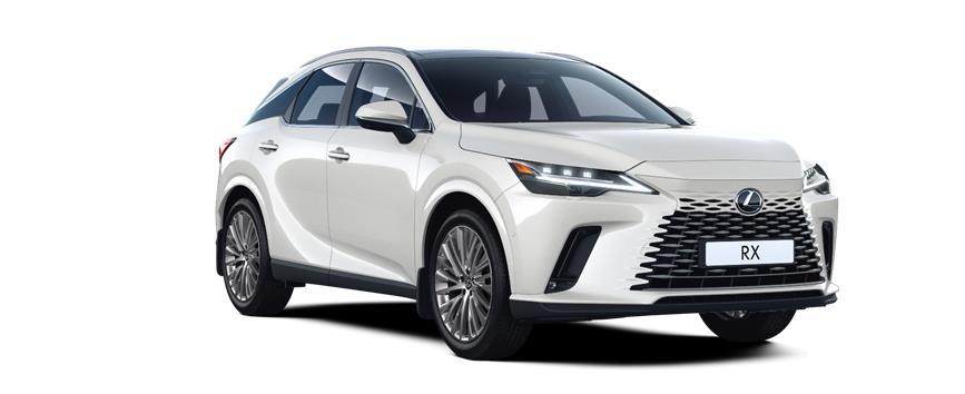 RX Hybrid Luxury თეთრი (085), frame 3