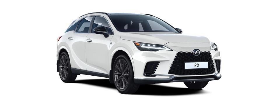 RX 2.4T F-SPORT Design + F თეთრი (083), frame 3