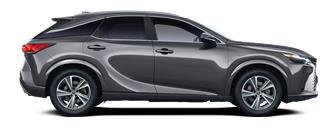 RX Dynamic