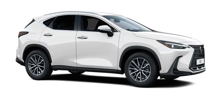 nx